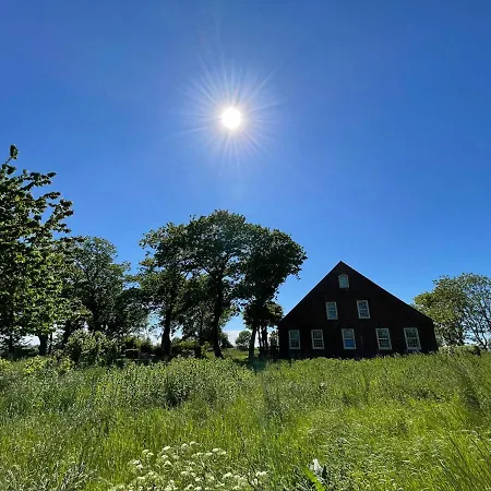 Gulfhof Dreybuelt 11 Likedeeler Lejlighed